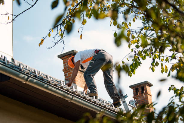 Best Roof Maintenance Services  in Petaluma, CA