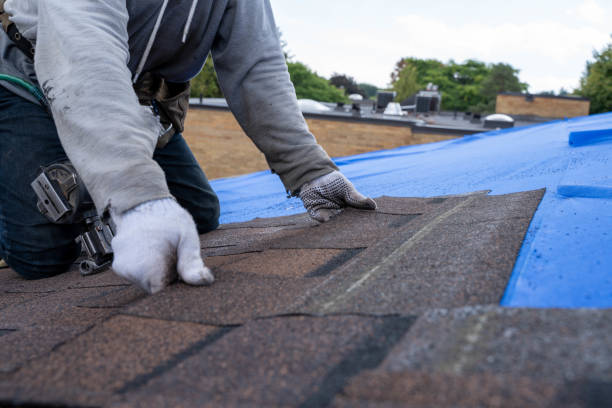 Best Flat Roof Repair Services  in Petaluma, CA