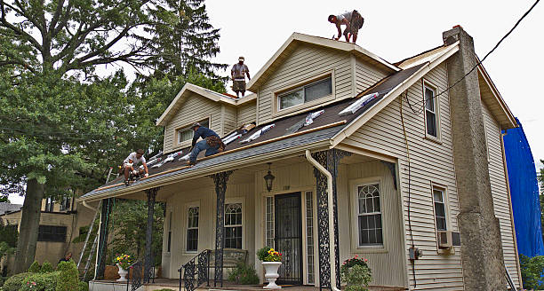 Best New Roof Installation  in Petaluma, CA