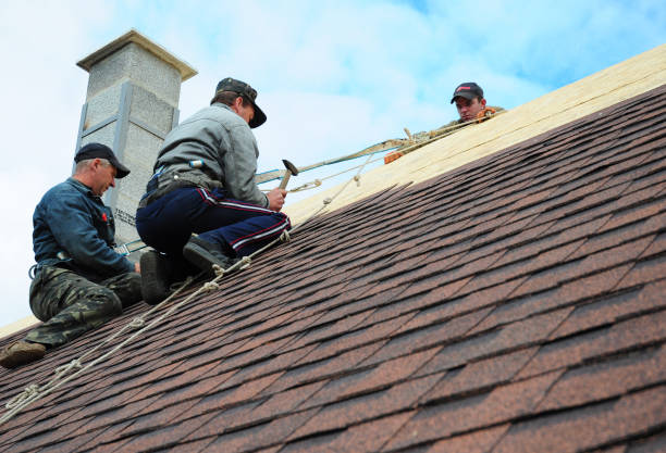 Best Sealant for Roof  in Petaluma, CA