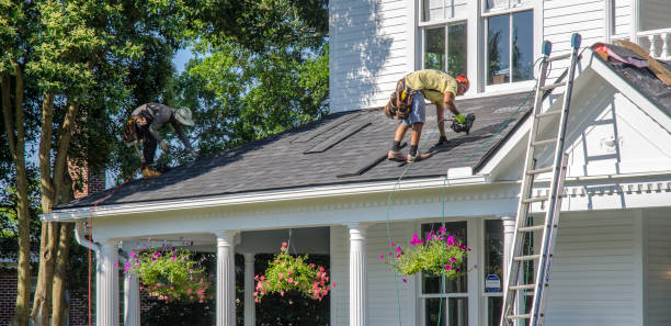Roof Gutter Cleaning in Petaluma, CA